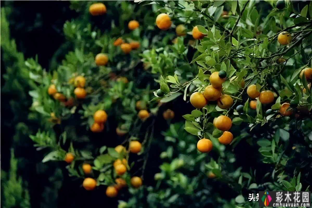 别墅庭院设计风水禁忌是迷信吗?绝对不会。看完这些你就明白了