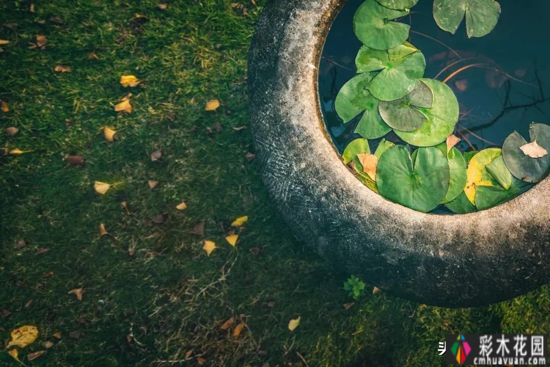 别墅庭院设计风水禁忌是迷信吗?绝对不会。看完这些你就明白了