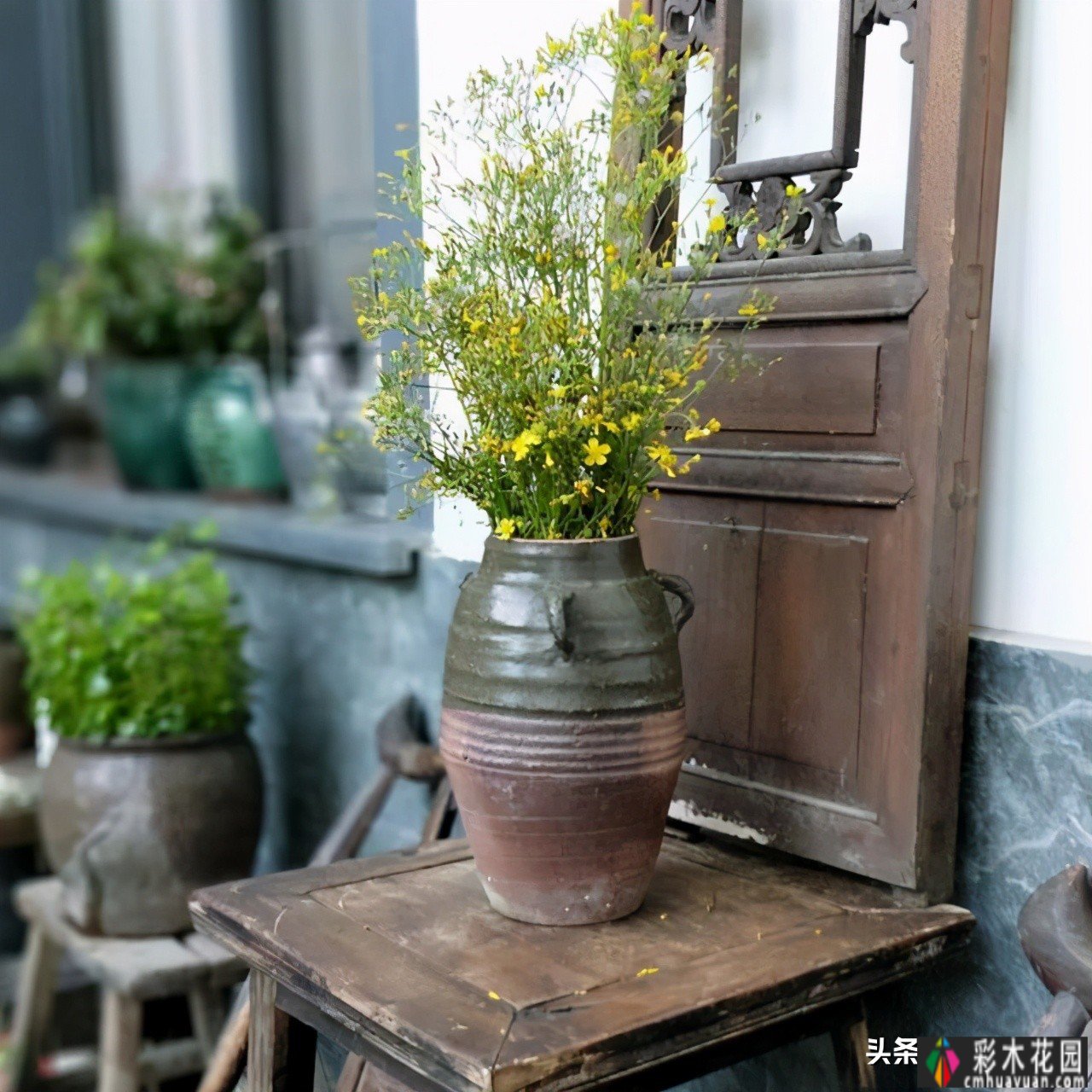 花园设计'的杂货花园,让你的花园成为美丽的“朋友圈”