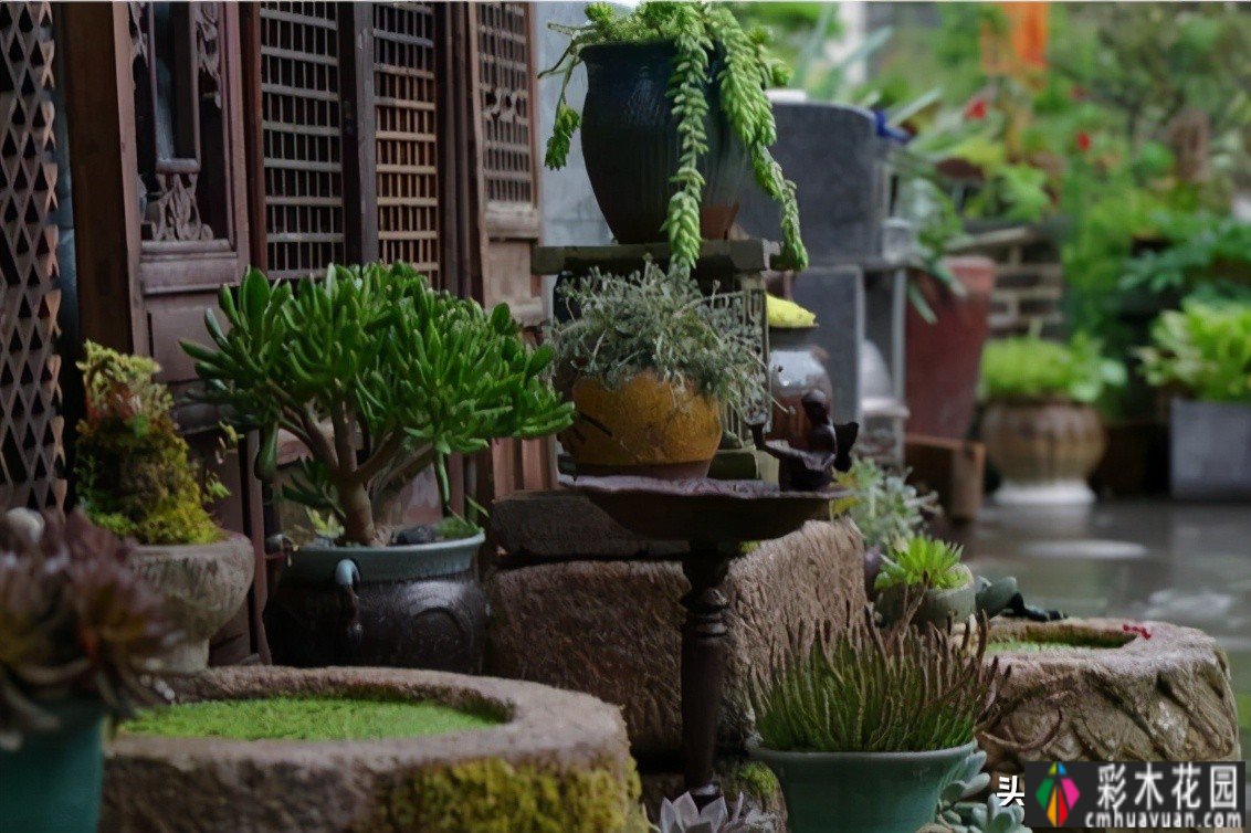 花园设计'的杂货花园,让你的花园成为美丽的“朋友圈”