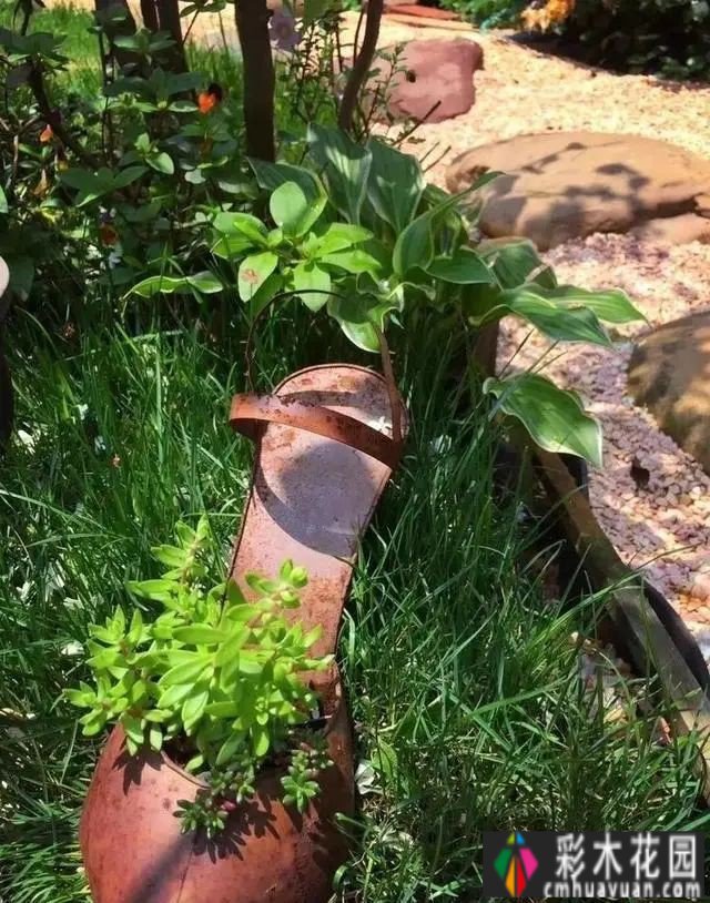 花园设计'的杂货花园,让你的花园成为美丽的“朋友圈”