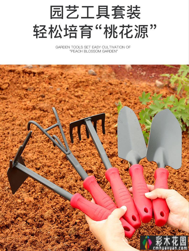预算8万元,翻新170㎡别墅“懒人沙漠植物花园”太有创意了