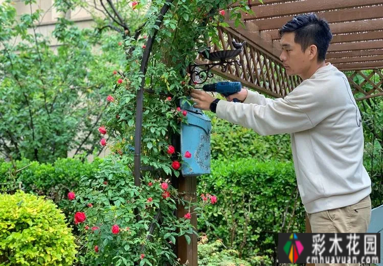 有两对情侣,花了一年多的时间才把120㎡的院子变得漂亮花园,太浪漫了