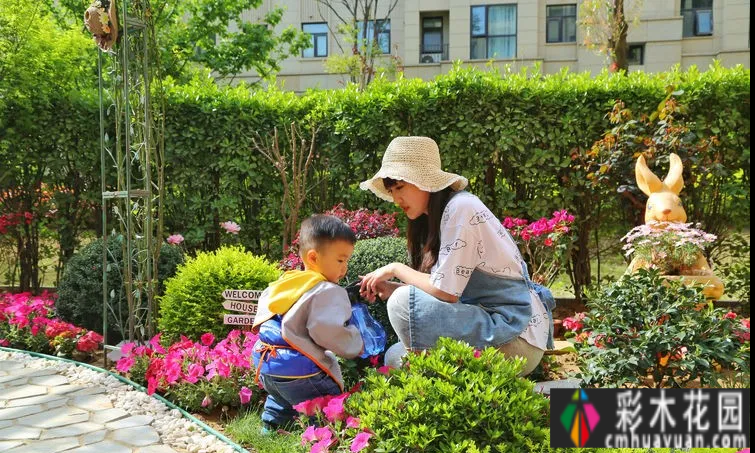 有两对情侣,花了一年多的时间才把120㎡的院子变得漂亮花园,太浪漫了