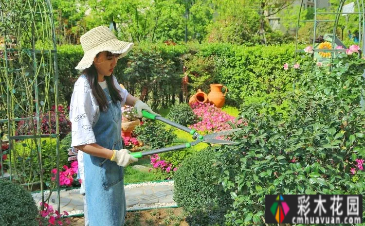 有两对情侣,花了一年多的时间才把120㎡的院子变得漂亮花园,太浪漫了