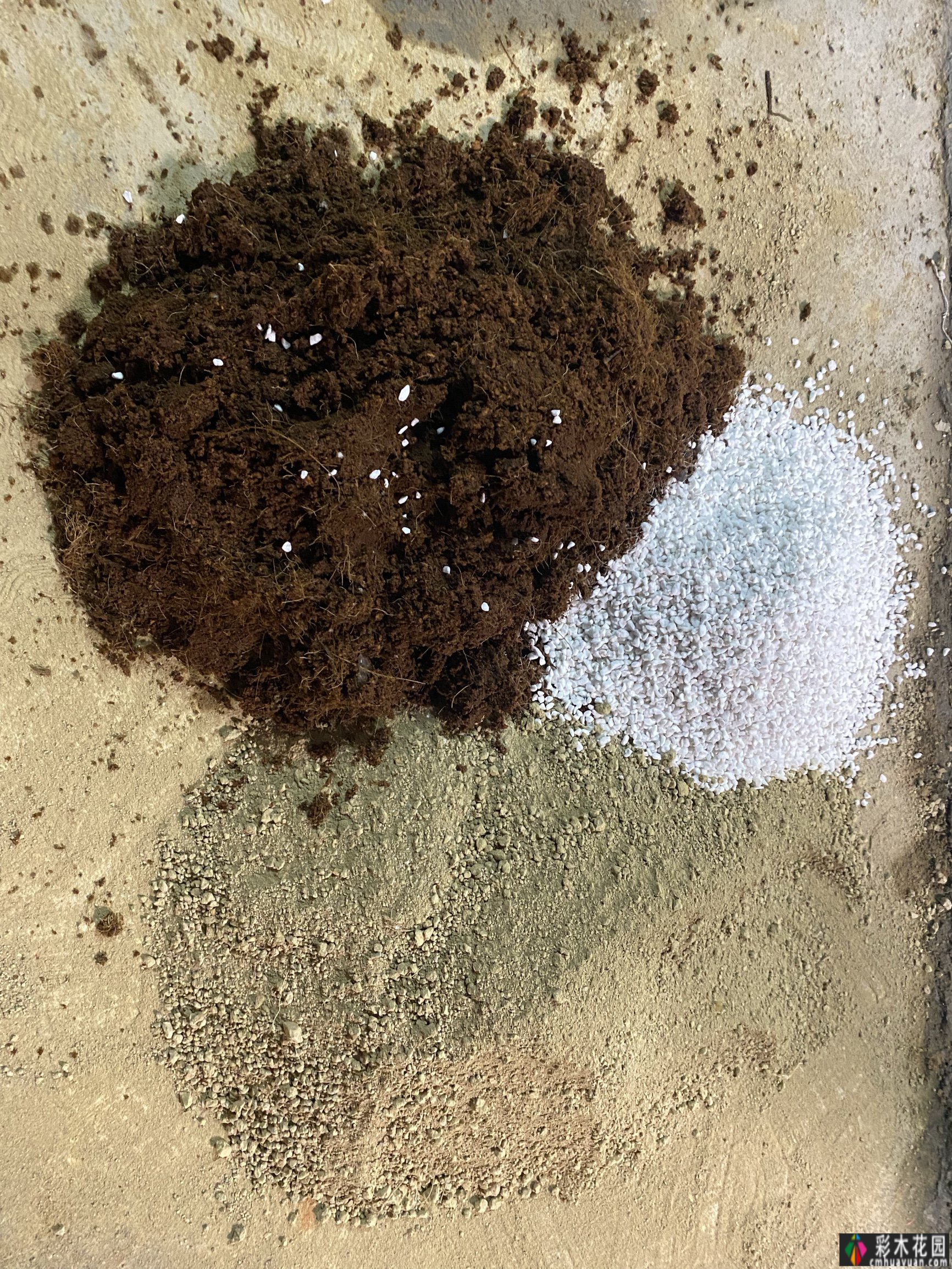 有两对情侣,花了一年多的时间才把120㎡的院子变得漂亮花园,太浪漫了