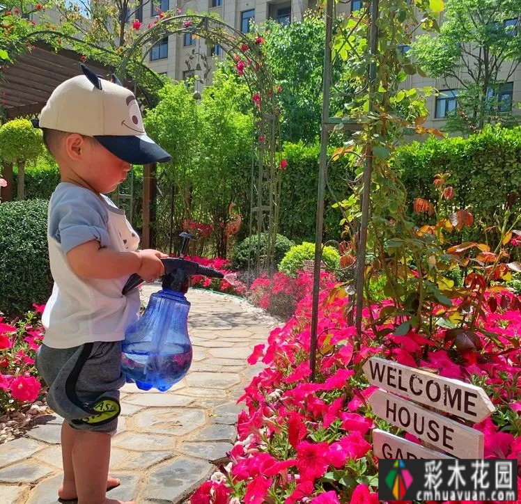 有两对情侣,花了一年多的时间才把120㎡的院子变得漂亮花园,太浪漫了