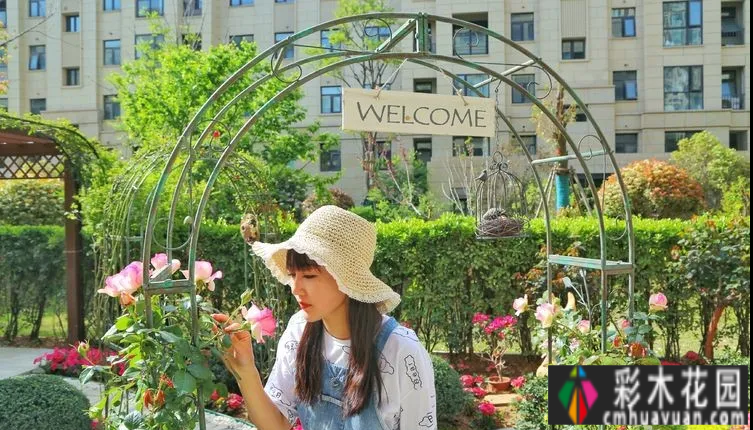 有两对情侣,花了一年多的时间才把120㎡的院子变得漂亮花园,太浪漫了