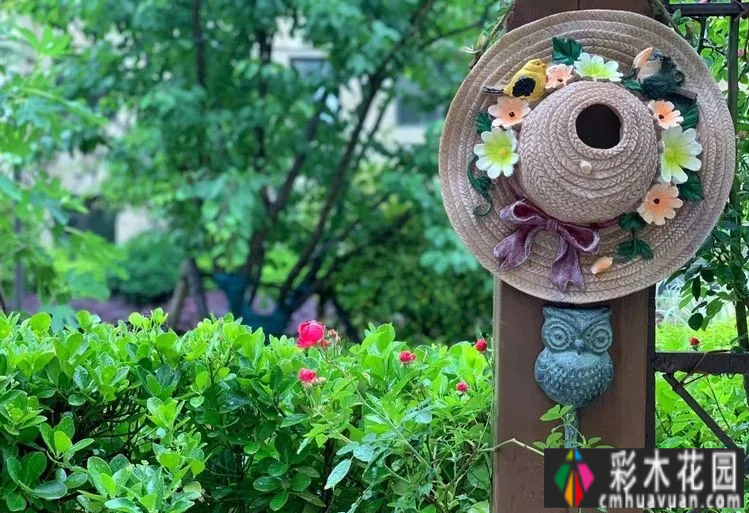 有两对情侣,花了一年多的时间才把120㎡的院子变得漂亮花园,太浪漫了