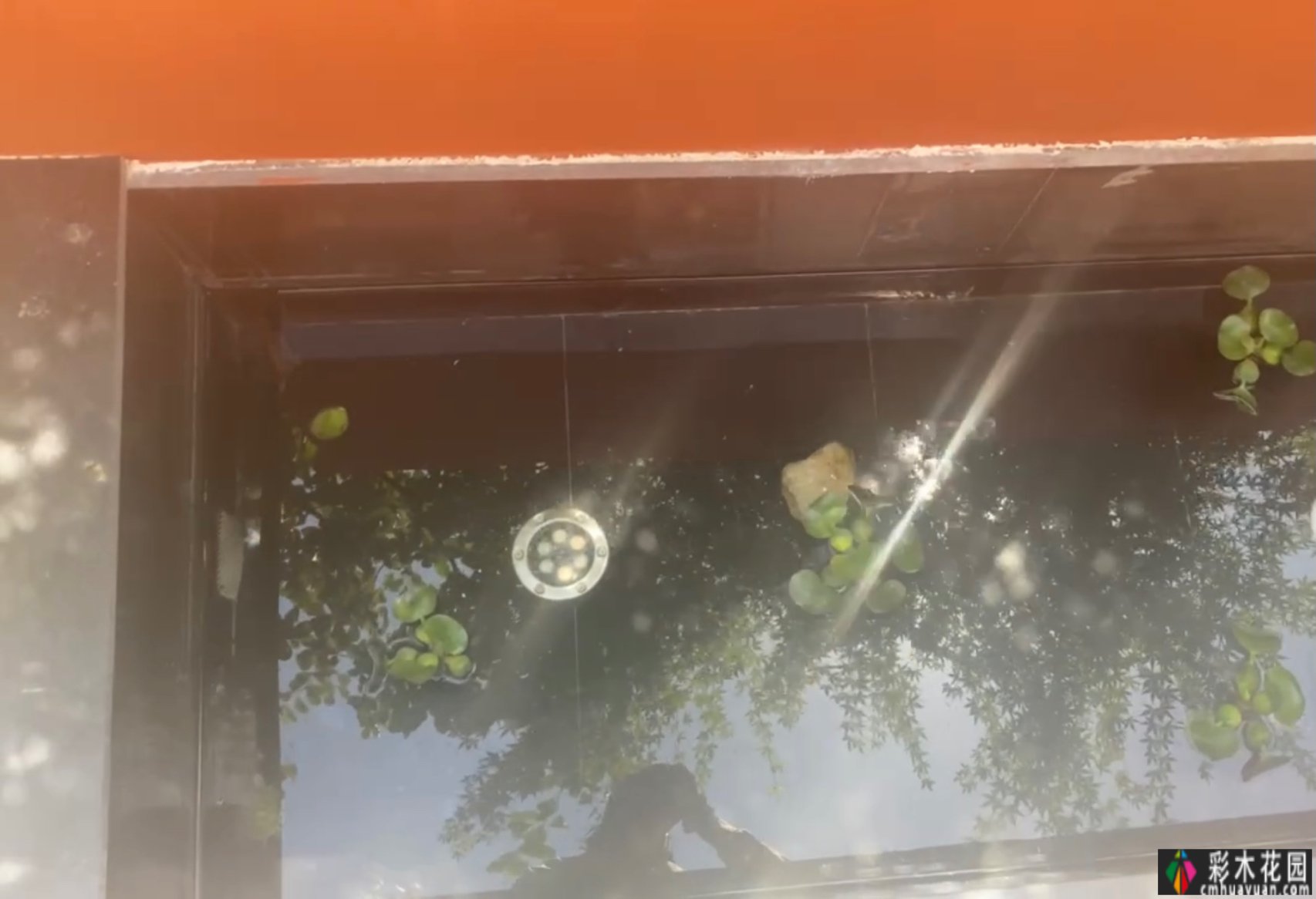 花3300元打造一面小巧精致又有情感的线上名人花园流水墙,搭配避坑策略