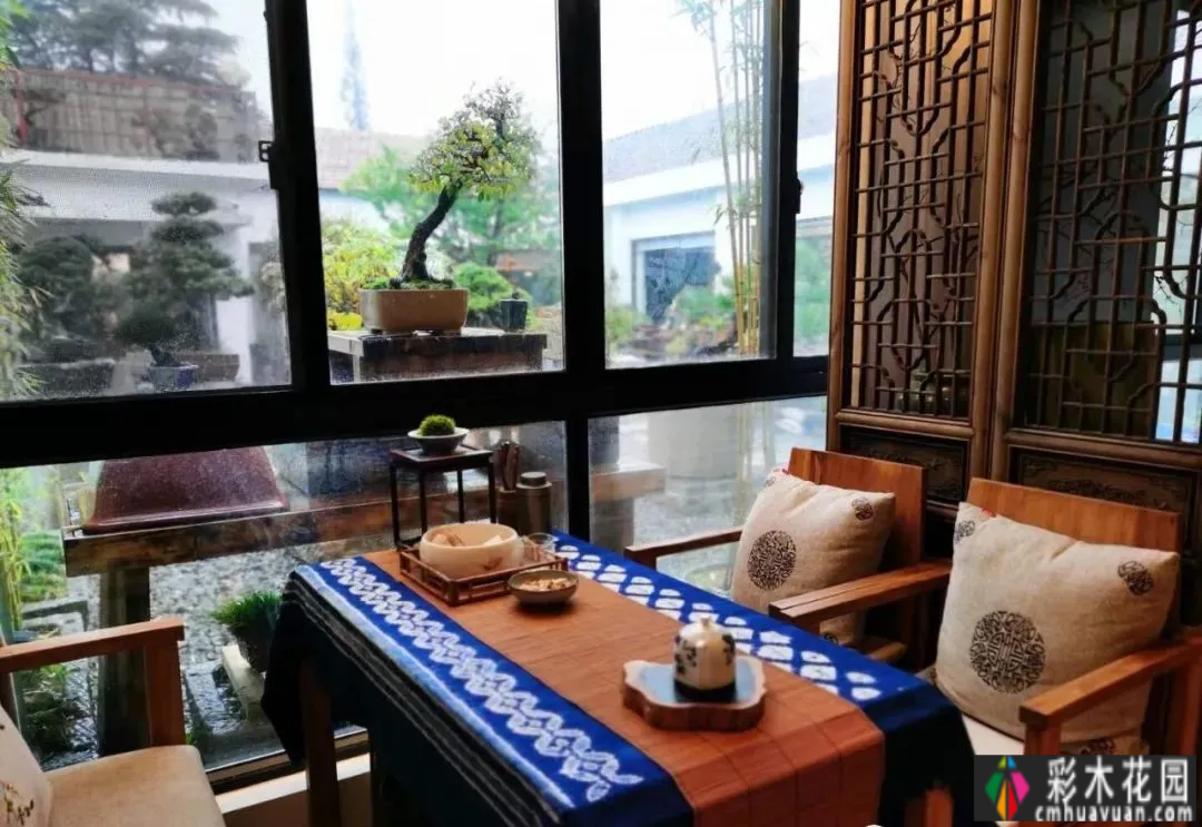 住在院子里后,我才明白什么是生活。