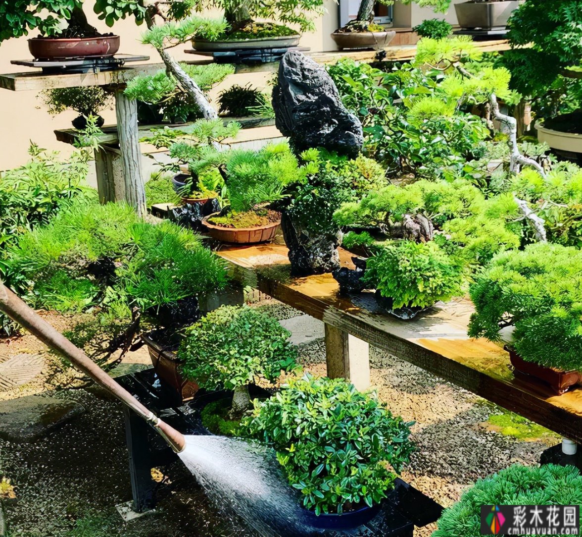 住在院子里后,我才明白什么是生活。