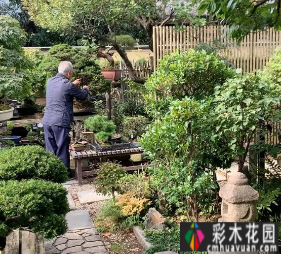 住在院子里后,我才明白什么是生活。