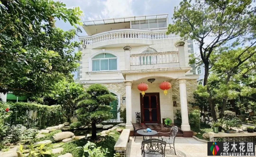 住在院子里后,我才明白什么是生活。
