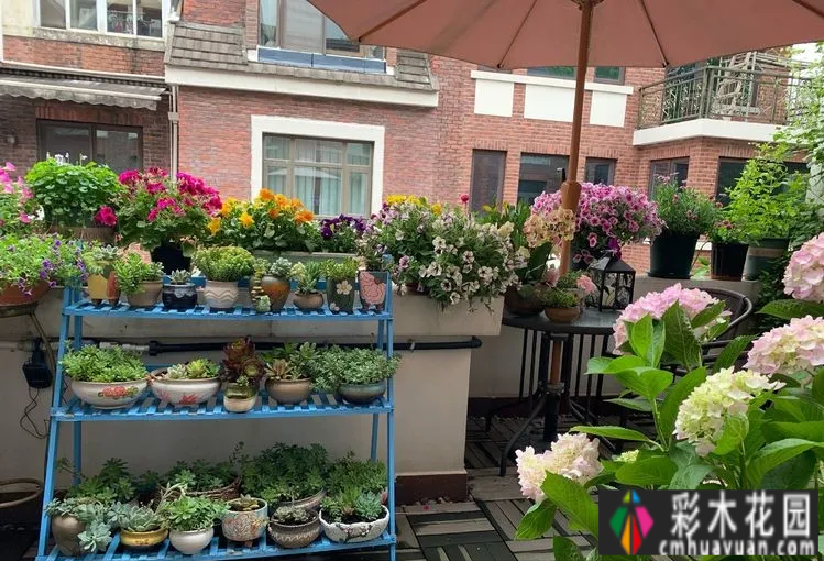 废弃四年的10㎡北露台改造成花园,成为全家人最喜欢的地方。