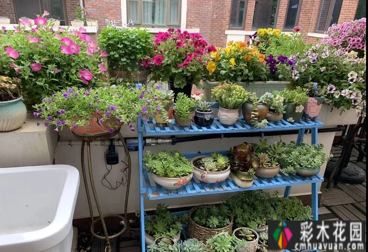 废弃四年的10㎡北露台改造成花园,成为全家人最喜欢的地方。