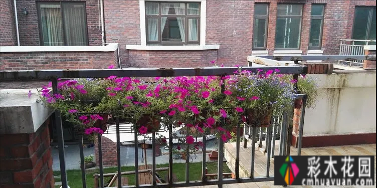 废弃四年的10㎡北露台改造成花园,成为全家人最喜欢的地方。