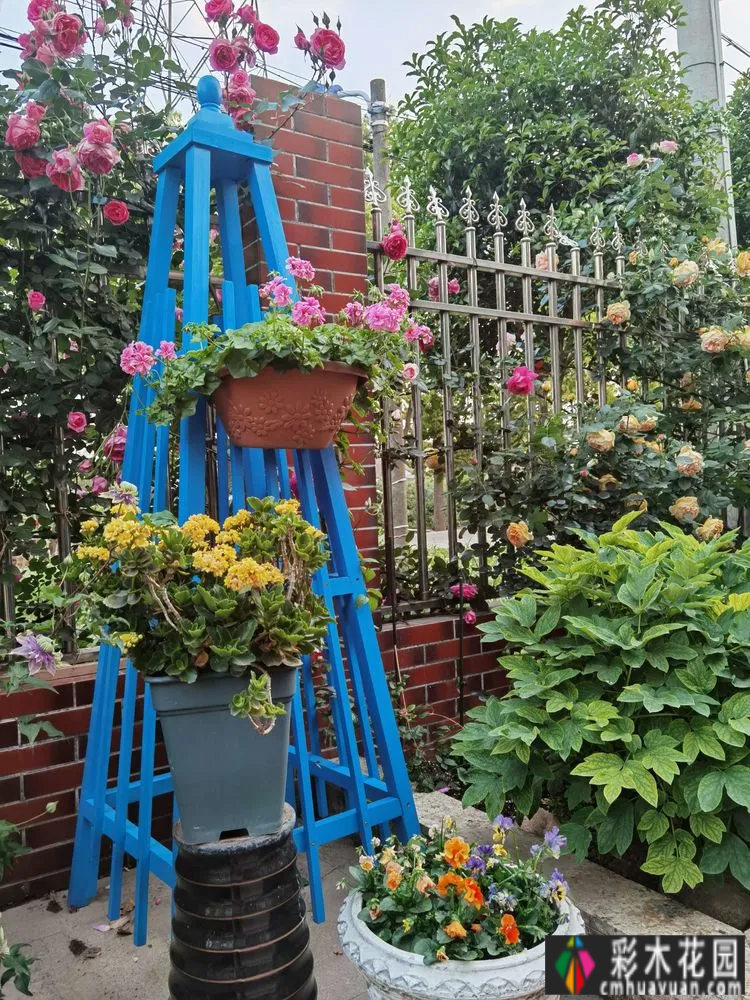 农村自建70㎡小院,DIY 花园,享受惬意田园生活。