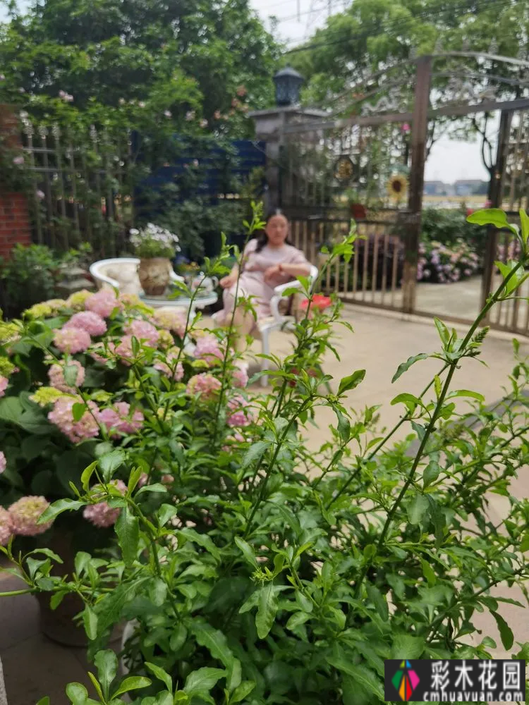 农村自建70㎡小院,DIY 花园,享受惬意田园生活。