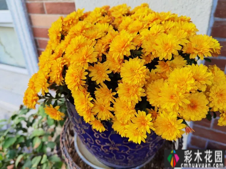 农村自建70㎡小院,DIY 花园,享受惬意田园生活。