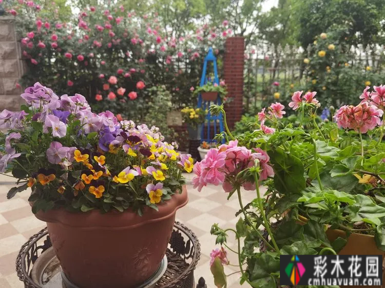 农村自建70㎡小院,DIY 花园,享受惬意田园生活。