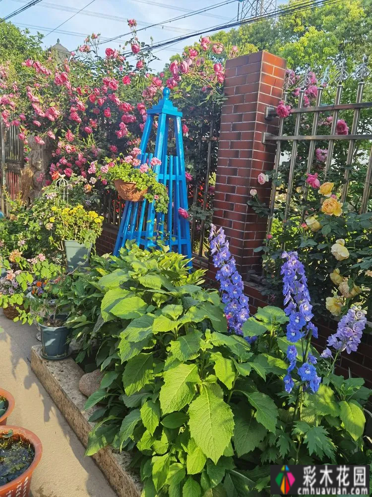 农村自建70㎡小院,DIY 花园,享受惬意田园生活。