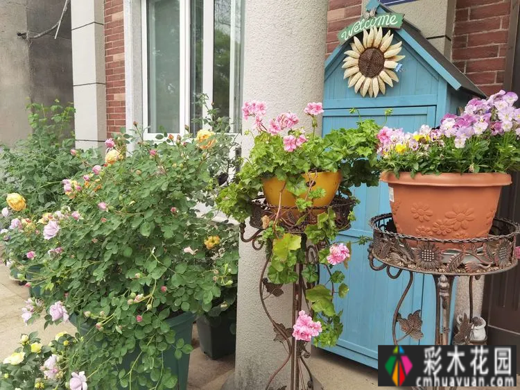 农村自建70㎡小院,DIY 花园,享受惬意田园生活。