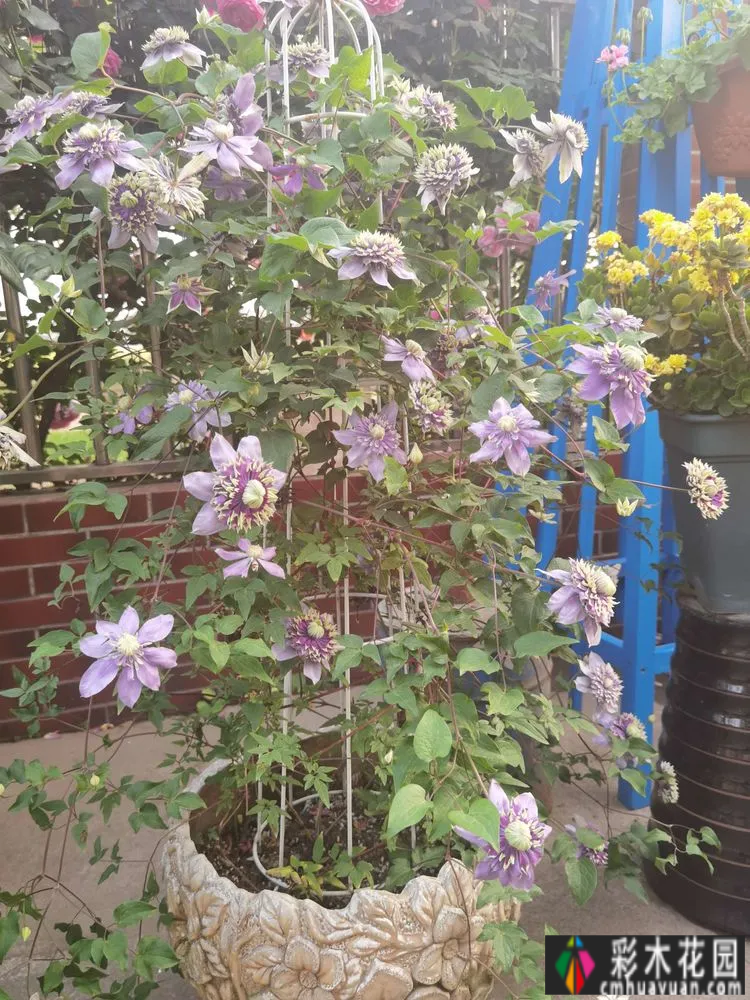 农村自建70㎡小院,DIY 花园,享受惬意田园生活。