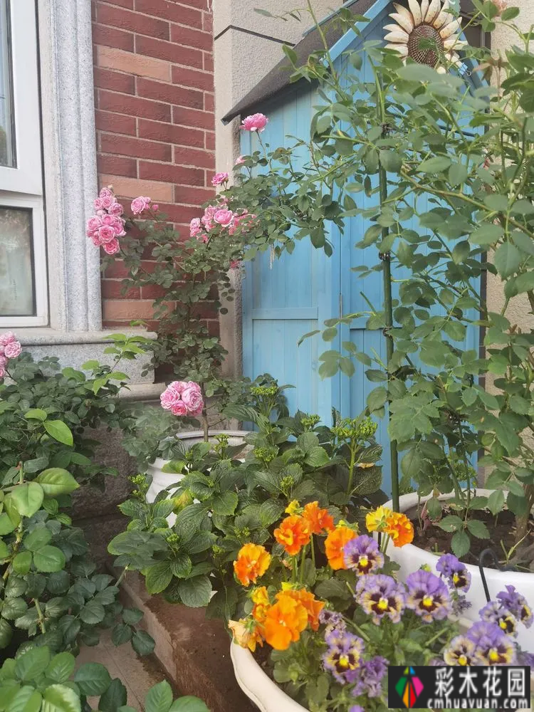 农村自建70㎡小院,DIY 花园,享受惬意田园生活。