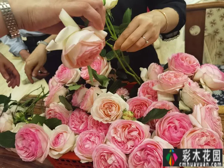 农村自建70㎡小院,DIY 花园,享受惬意田园生活。