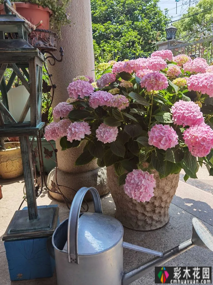 农村自建70㎡小院,DIY 花园,享受惬意田园生活。