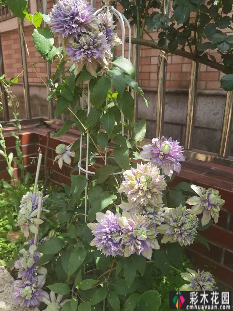 农村自建70㎡小院,DIY 花园,享受惬意田园生活。