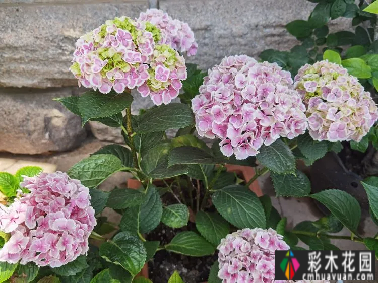农村自建70㎡小院,DIY 花园,享受惬意田园生活。