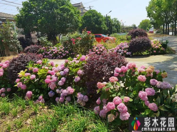农村自建70㎡小院,DIY 花园,享受惬意田园生活。