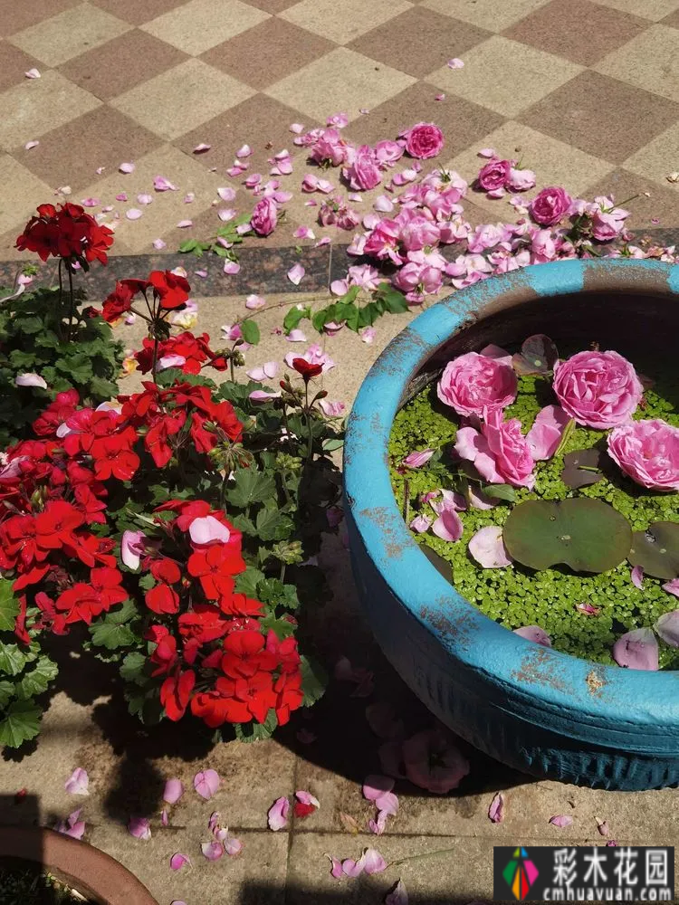 农村自建70㎡小院,DIY 花园,享受惬意田园生活。