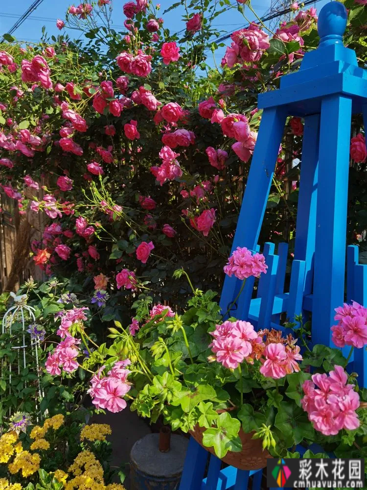 农村自建70㎡小院,DIY 花园,享受惬意田园生活。