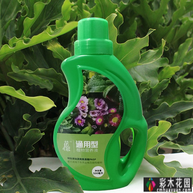 买这套房子就是看中这个40㎡的庭院,装修后美如四季山水画。