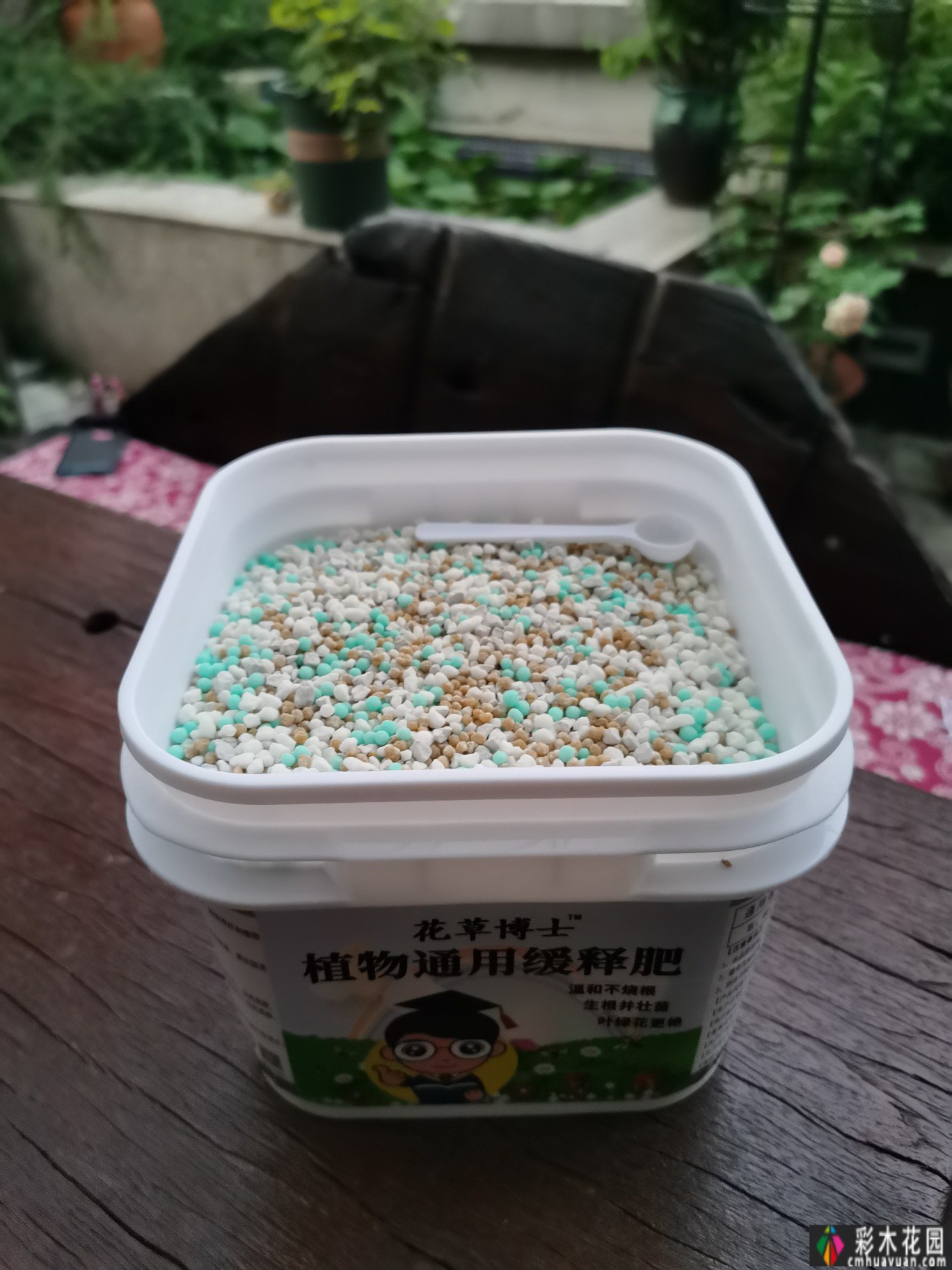 两年前,我买了一套一楼50㎡小院的房子,住在一个繁华的城市花园。