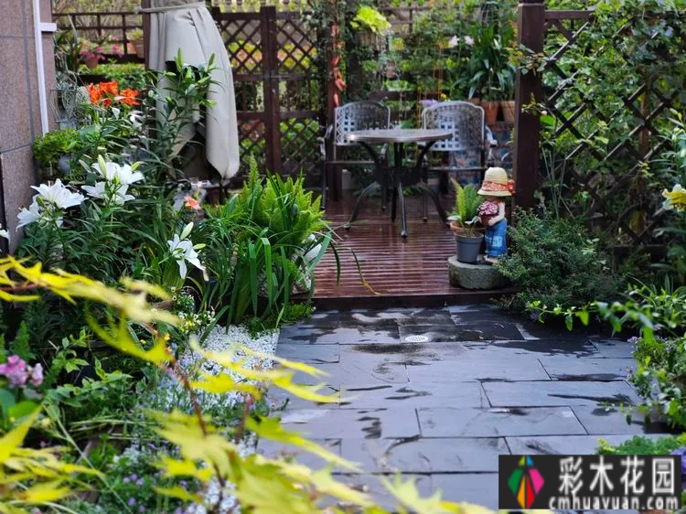 两年前,我买了一套一楼50㎡小院的房子,住在一个繁华的城市花园。