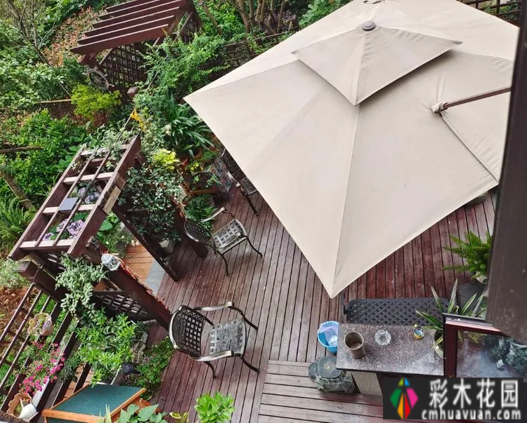 两年前,我买了一套一楼50㎡小院的房子,住在一个繁华的城市花园。