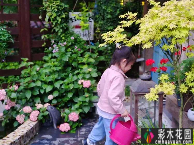 两年前,我买了一套一楼50㎡小院的房子,住在一个繁华的城市花园。