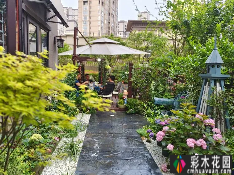 两年前,我买了一套一楼50㎡小院的房子,住在一个繁华的城市花园。