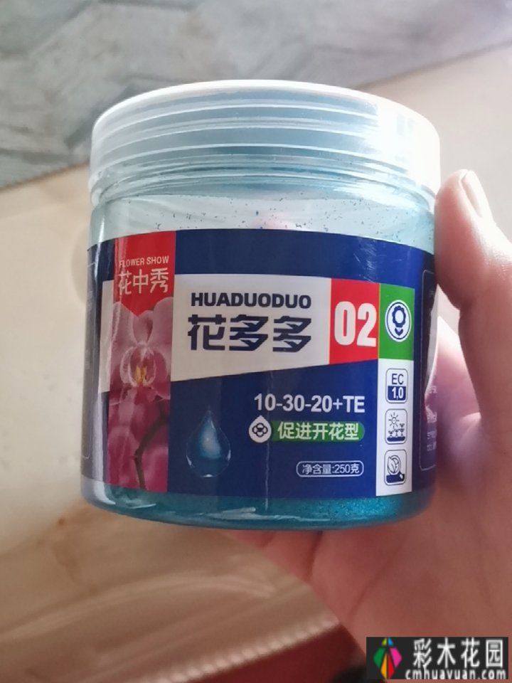 两年前,我买了一套一楼50㎡小院的房子,住在一个繁华的城市花园。