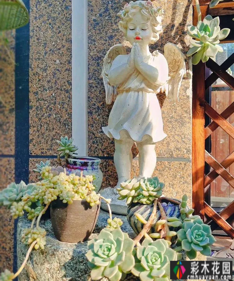 两年前,我买了一套一楼50㎡小院的房子,住在一个繁华的城市花园。