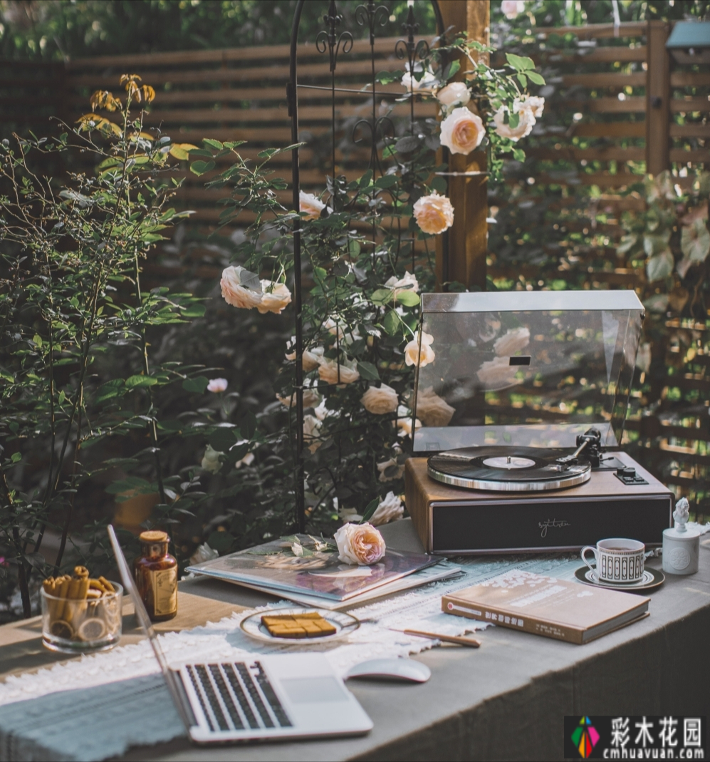 一楼70㎡的院子是“建花园”,我每天都想住在花园里,不想去任何地方。