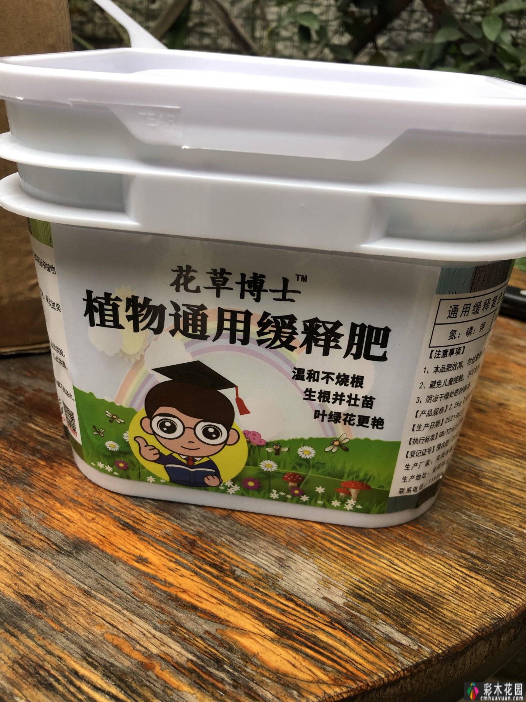 一楼70㎡的院子是“建花园”,我每天都想住在花园里,不想去任何地方。