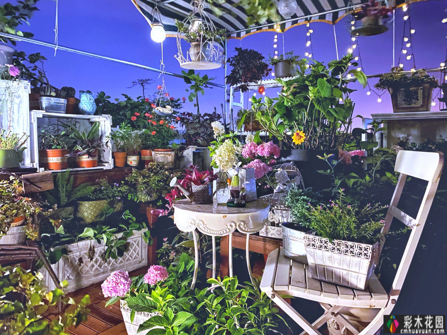 屋顶建筑“air 花园”攻略:舍弃屋顶,这样打扮,可以得到一个花园白色。