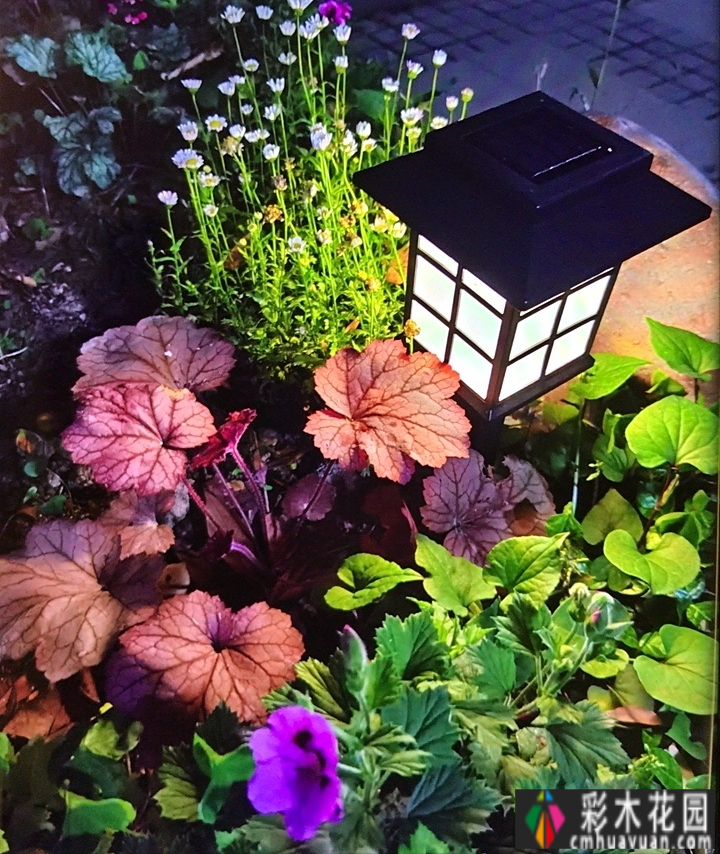 屋顶建筑“air 花园”攻略:舍弃屋顶,这样打扮,可以得到一个花园白色。