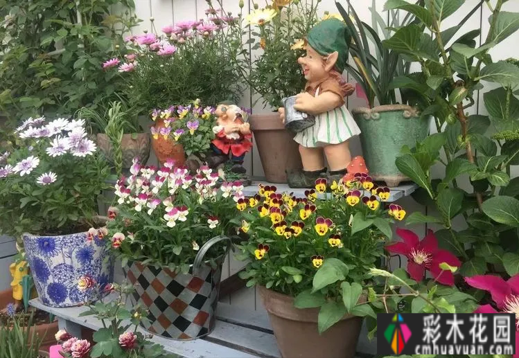 六年前，我不顾反对，买了一套60平米屋顶露台的房子，建在空中。花园真的很美。
