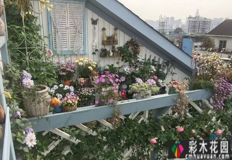 六年前,我不顾反对,买了一套60平米屋顶露台的房子,建在空中。花园真的很美。